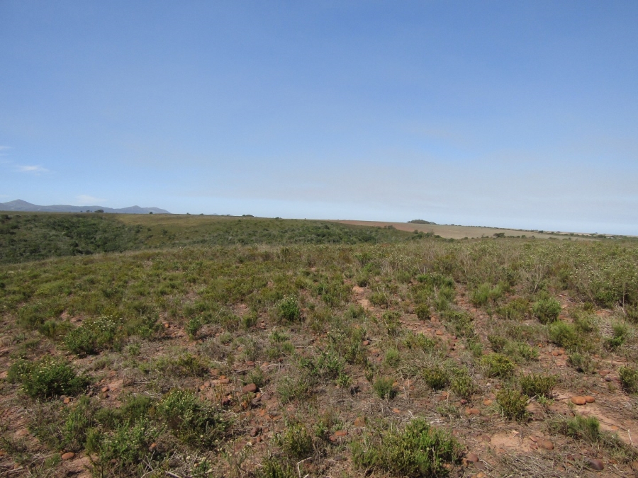 Commercial Property for Sale in Humansdorp Rural Eastern Cape